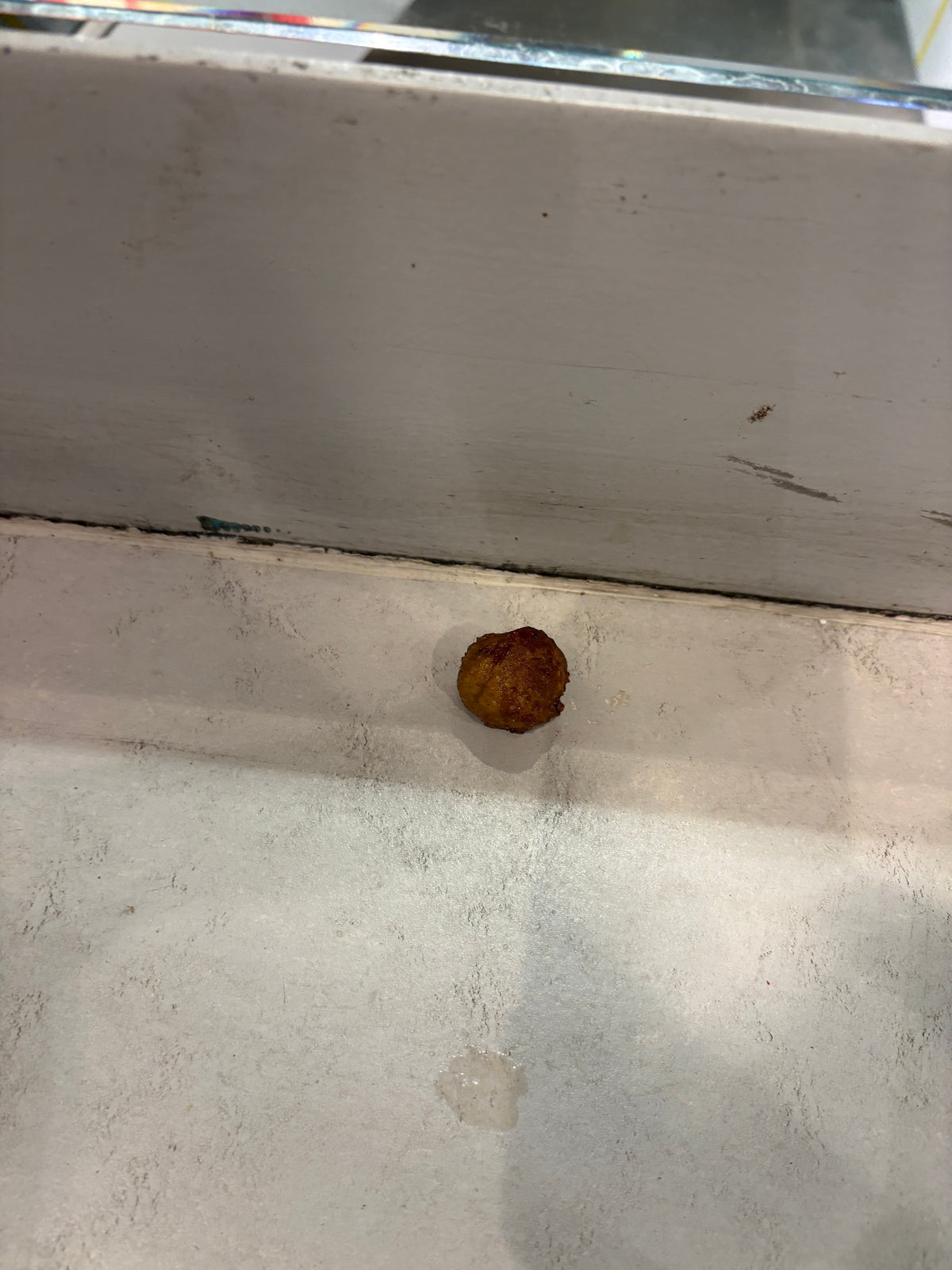 Things I Found on The Ground This Week
