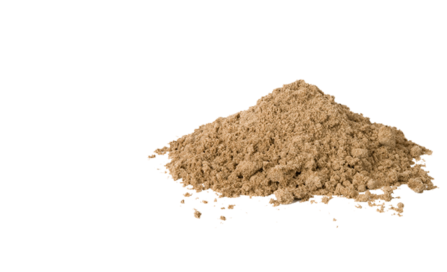 Is Eating Dirt Actually Good for You?