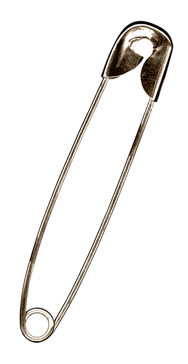Rusty Safety Pin